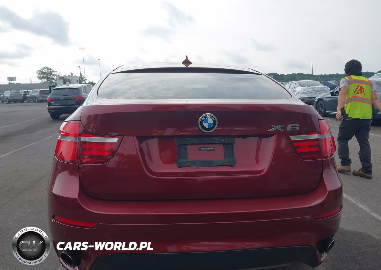 2013 BMW X6 xDrive35I VIN:5UXFG2C52DL784242 - 16