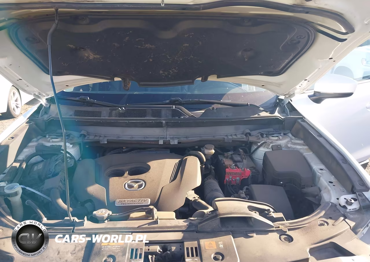 2016 Mazda Cx-9 Touring VIN:JM3TCACY3G0101482 - 10