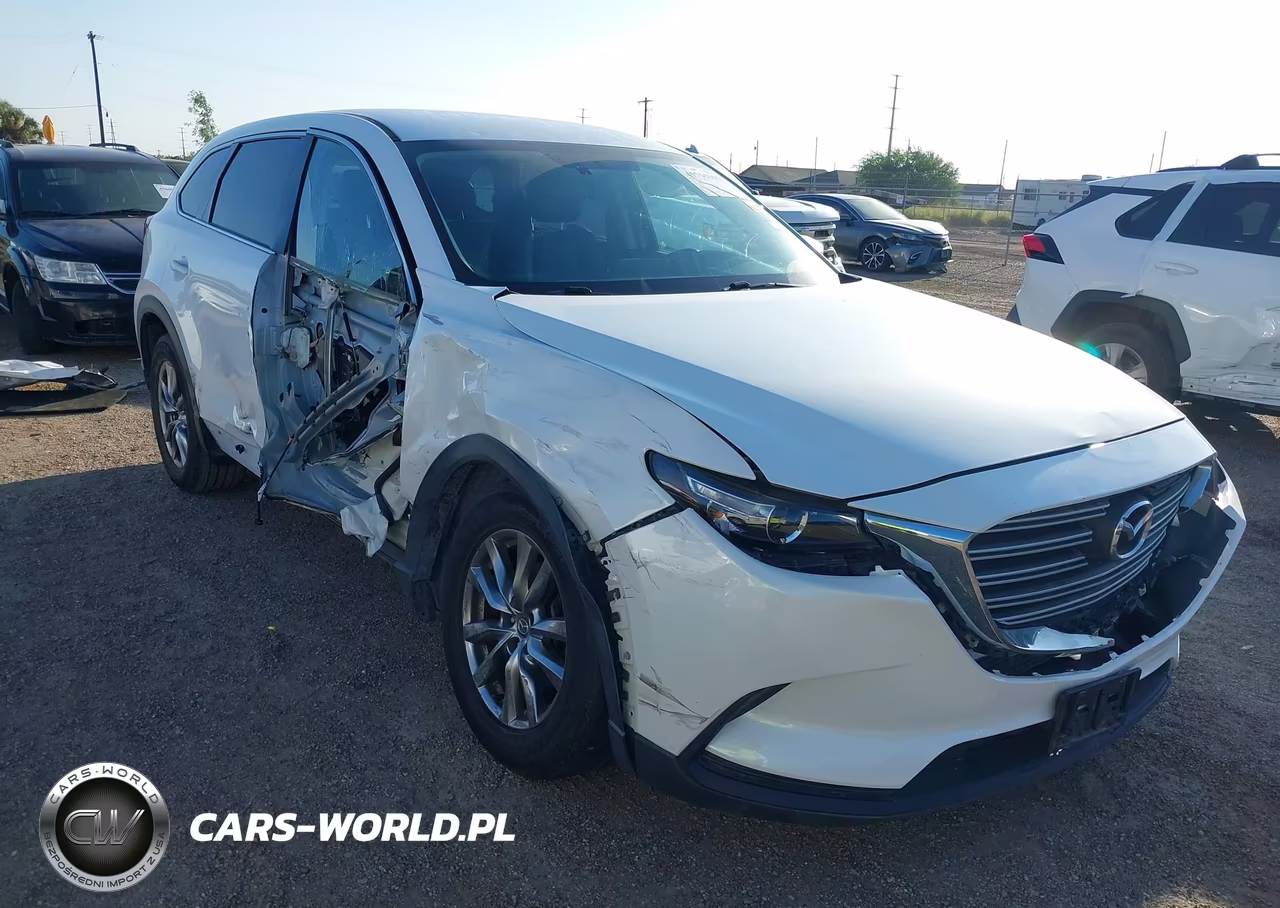 2016 Mazda Cx-9 Touring VIN:JM3TCACY3G0101482 - 6