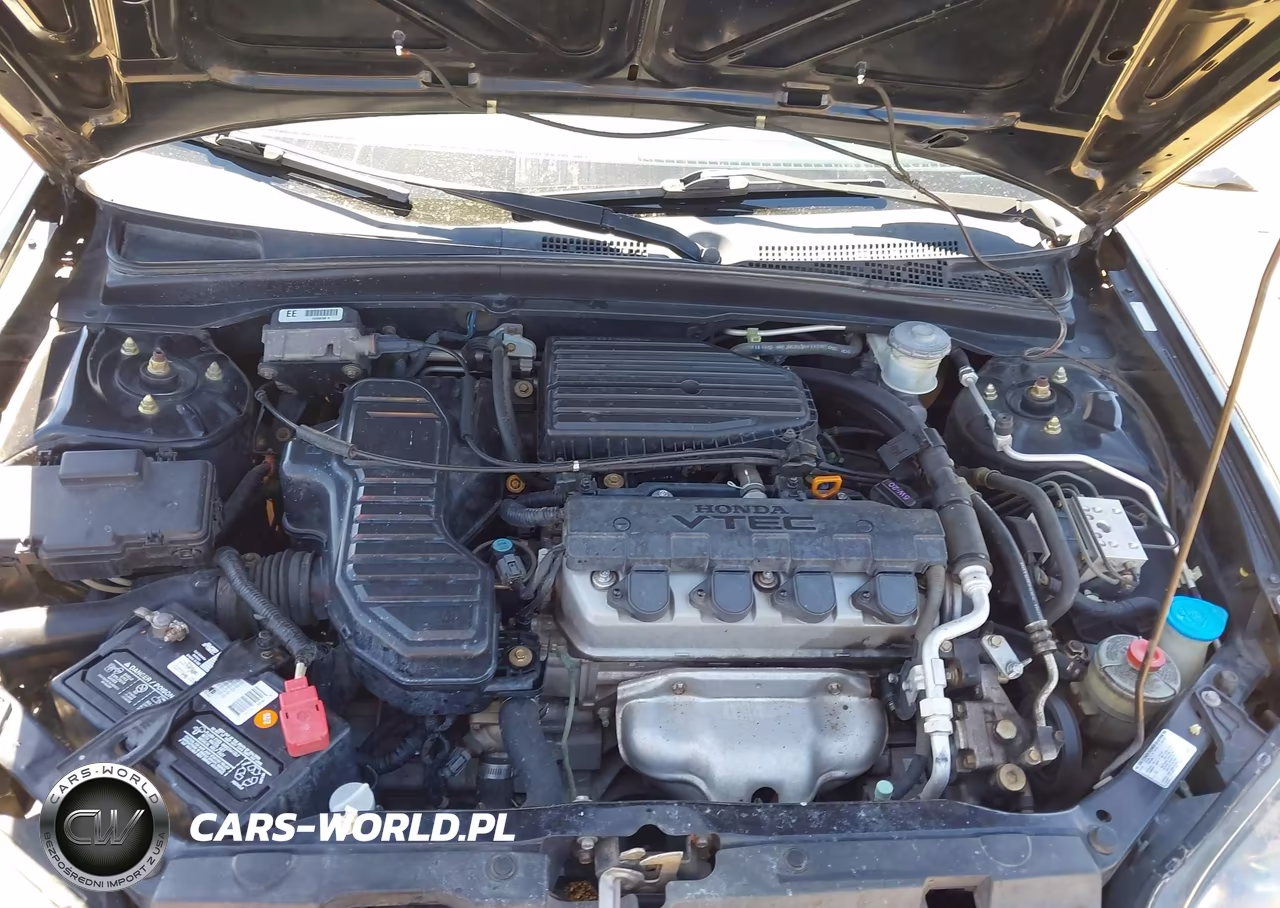 2003 Honda Civic Ex VIN:1HGEM22953L043965 - 10