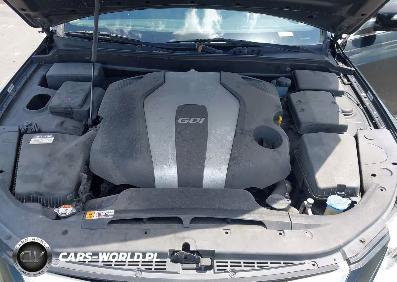 2014 Hyundai Genesis 3.8 VIN:KMHGC4DD3EU265419 - 10