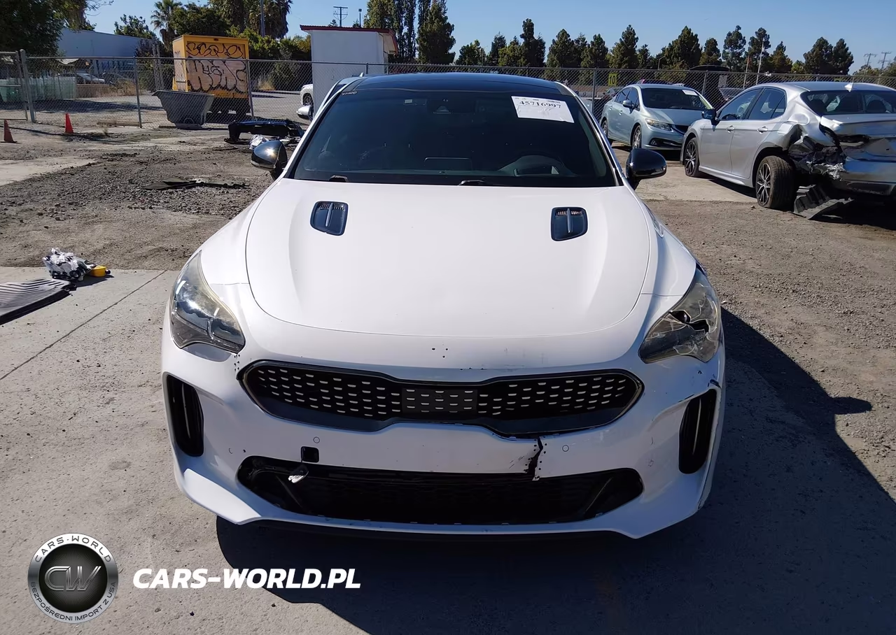 2018 Kia Stinger Gt2 VIN:KNAE55LC5J6039088 - 13