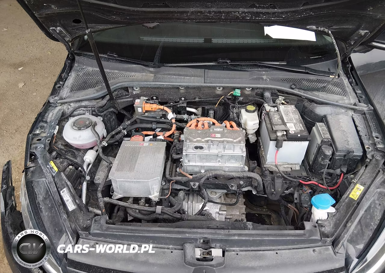 2019 Volkswagen E-Golf Se VIN:WVWKR7AU8KW911475 - 10