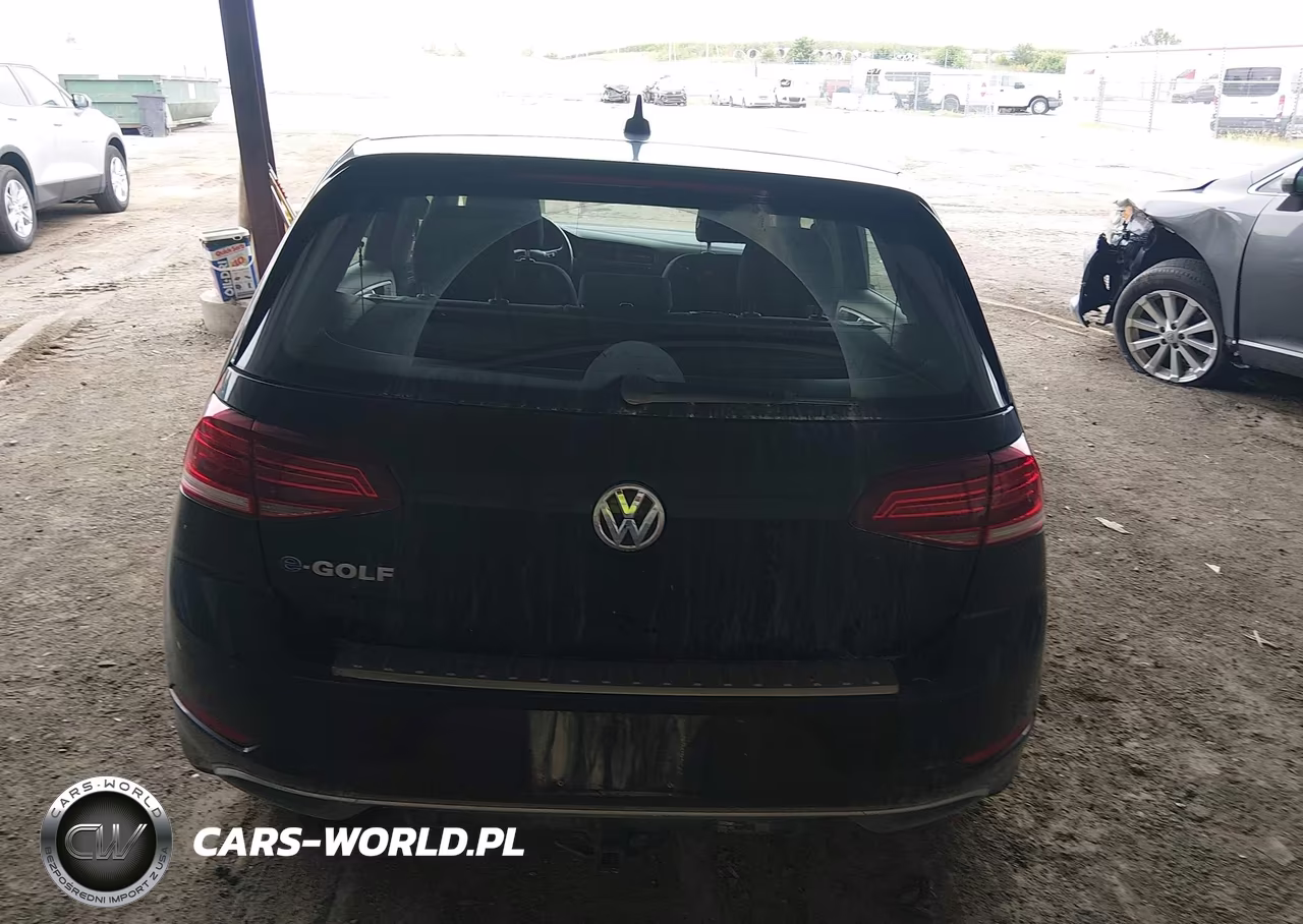 2019 Volkswagen E-Golf Se VIN:WVWKR7AU8KW911475 - 16