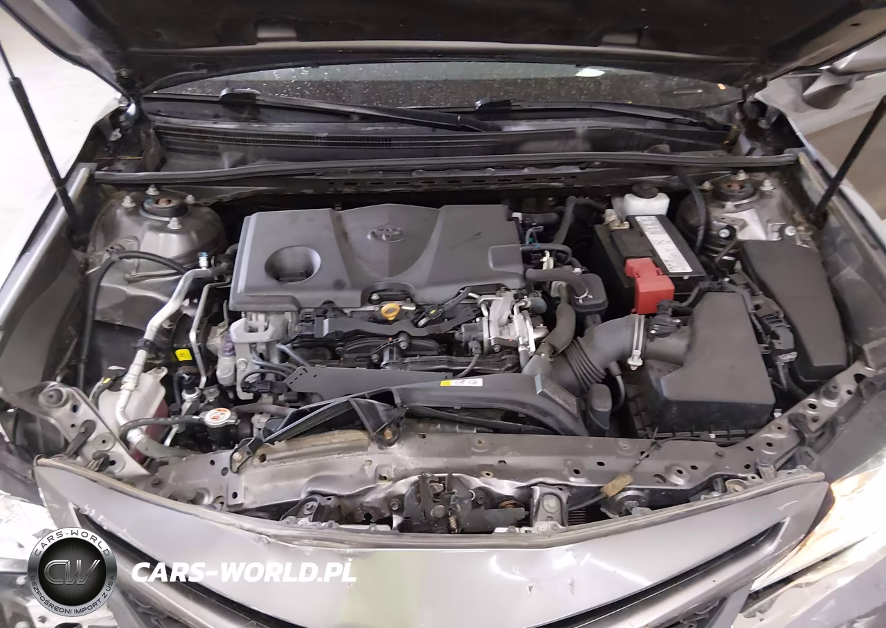 2019 Toyota Camry Se VIN:4T1B11HK9KU799737 - 10