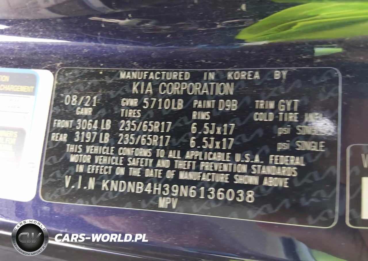 2022 Kia Carnival Mpv Lx Seat Package VIN:KNDNB4H39N6136038 - 9