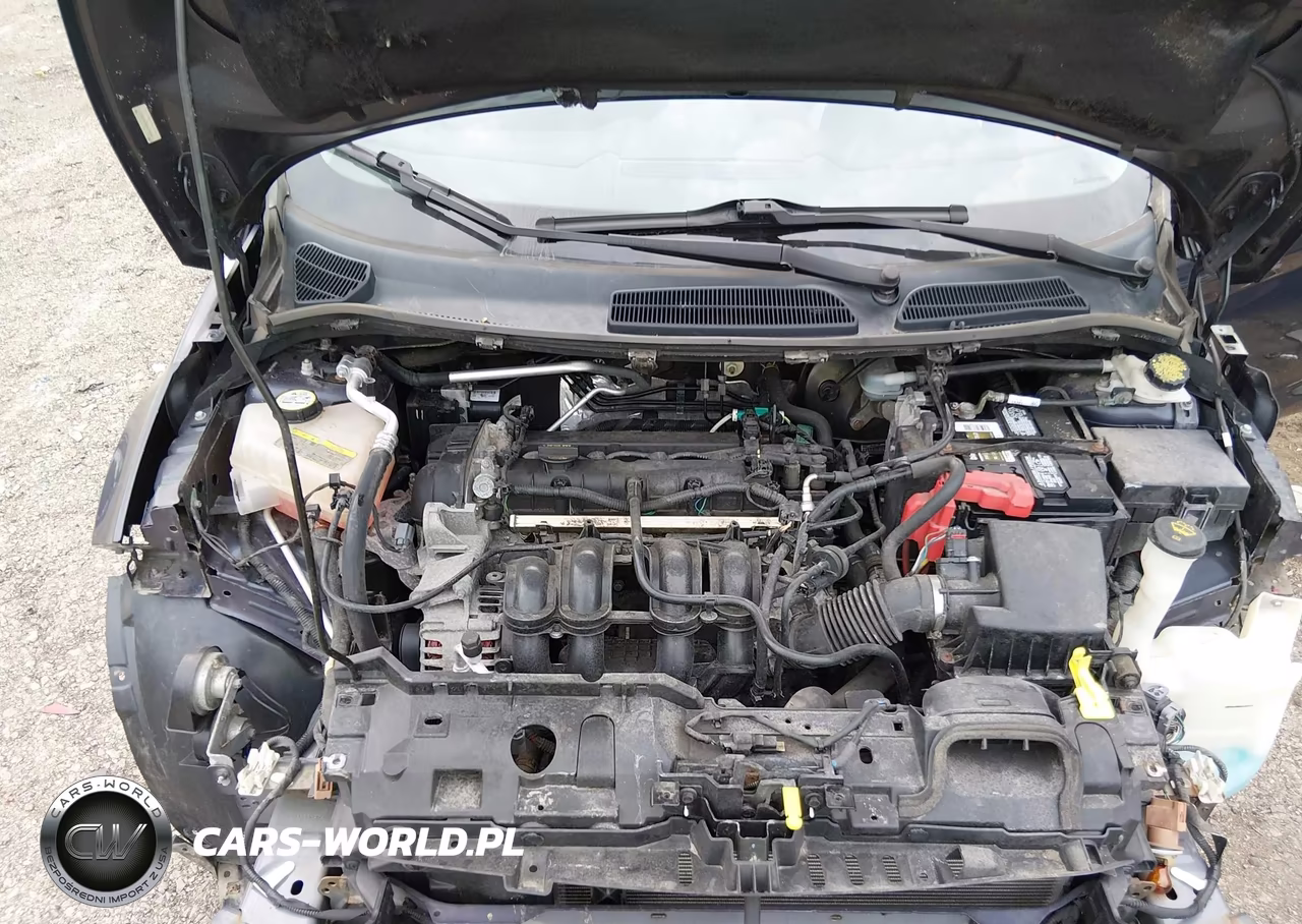 2013 Ford Fiesta Se VIN:3FADP4BJ7DM175946 - 10