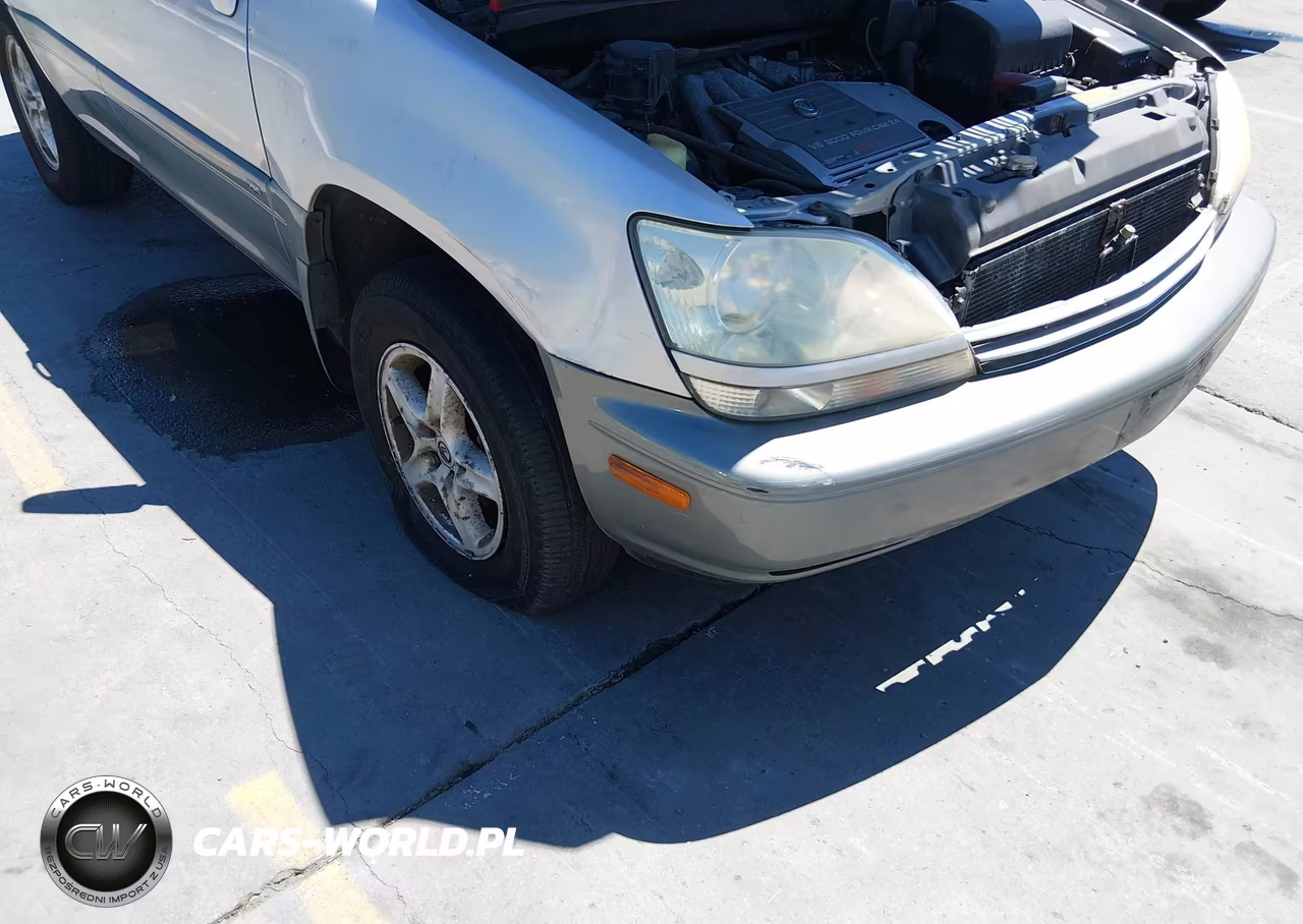2002 Lexus Rx 300 VIN:JTJHF10U820243825 - 6