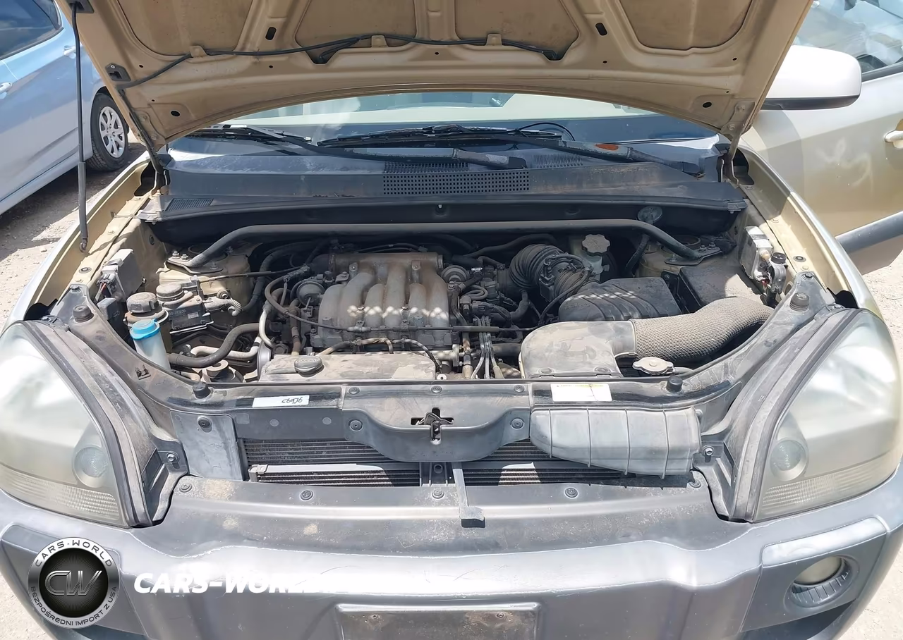 2005 Hyundai Tucson Gls-Lx VIN:KM8JN12D65U044592 - 10