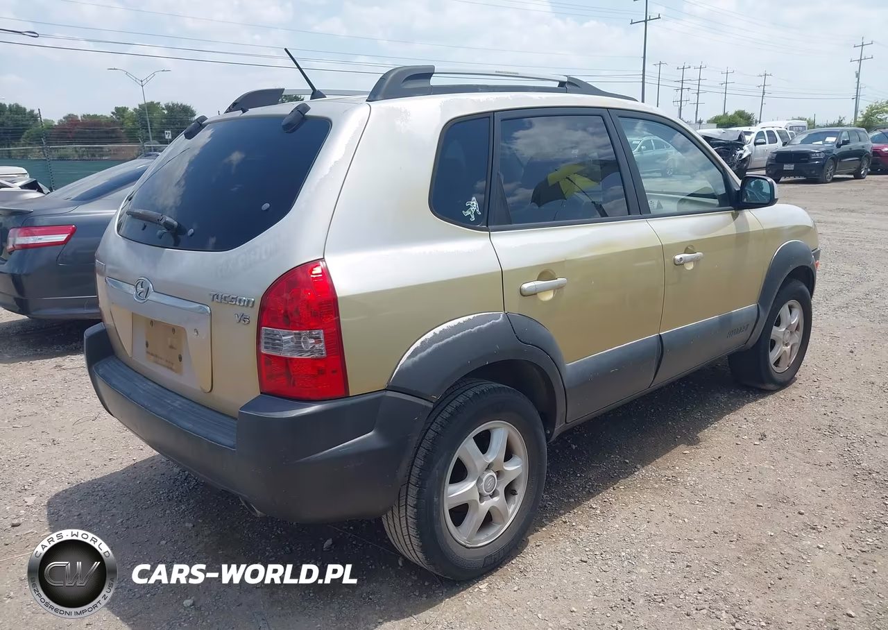 2005 Hyundai Tucson Gls-Lx VIN:KM8JN12D65U044592 - 4