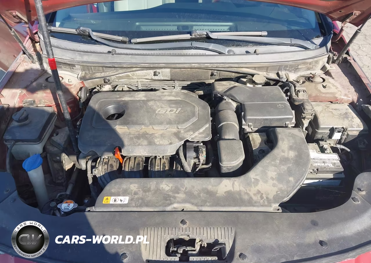 2015 Hyundai Sonata Se VIN:5NPE24AF1FH048483 - 10