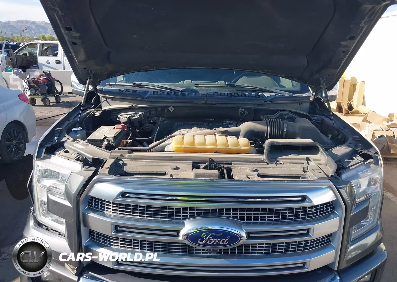2015 Ford F-150 Platinum VIN:1FTEW1EG0FFC30286 - 10