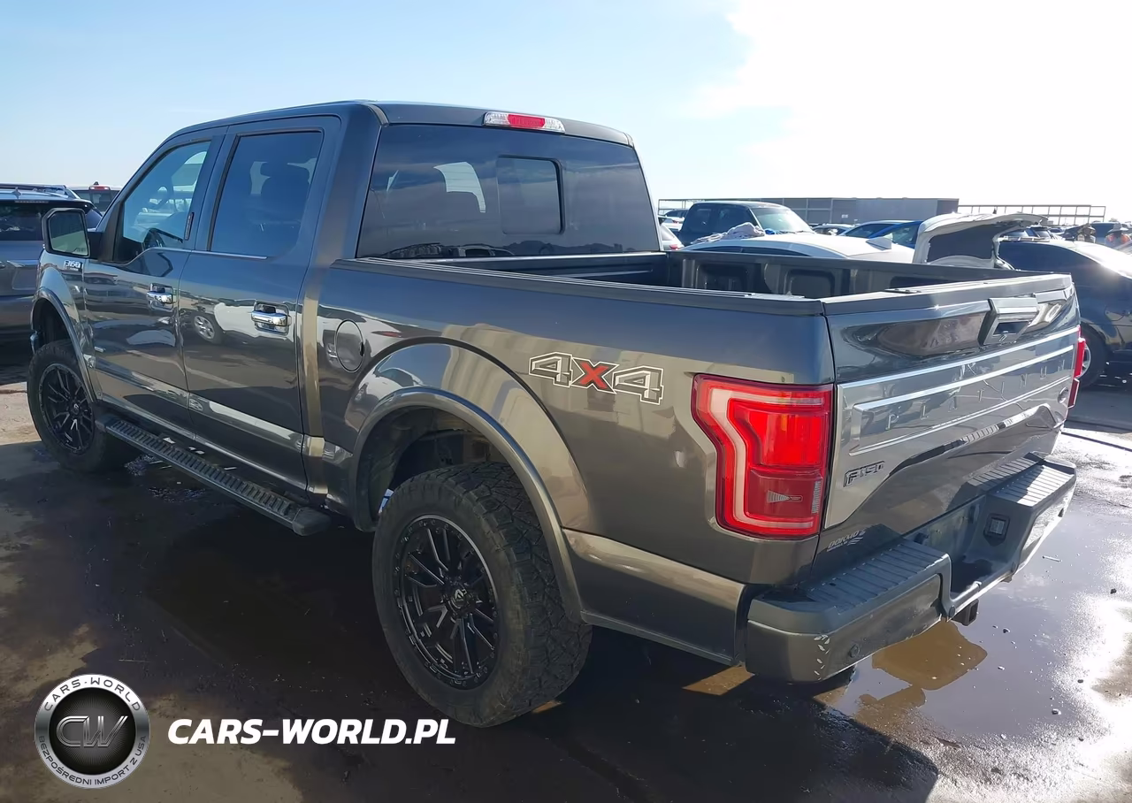 2015 Ford F-150 Platinum VIN:1FTEW1EG0FFC30286 - 3