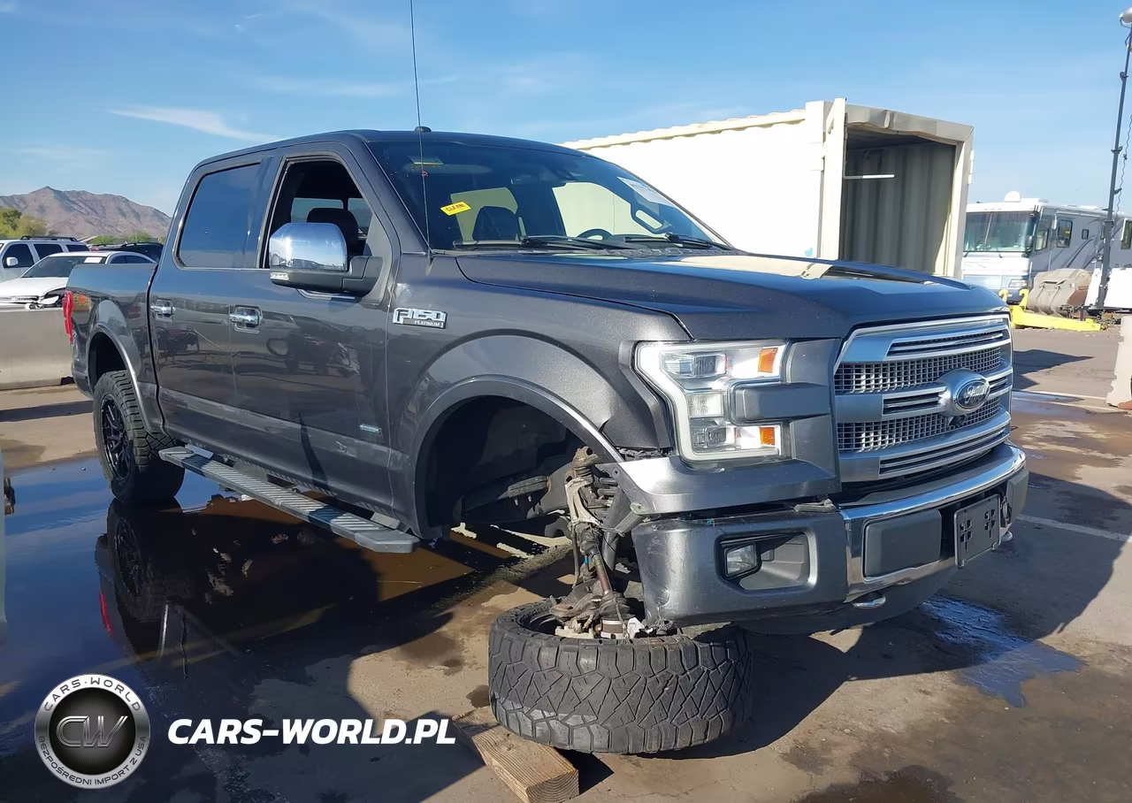 2015 Ford F-150 Platinum VIN:1FTEW1EG0FFC30286 - 6