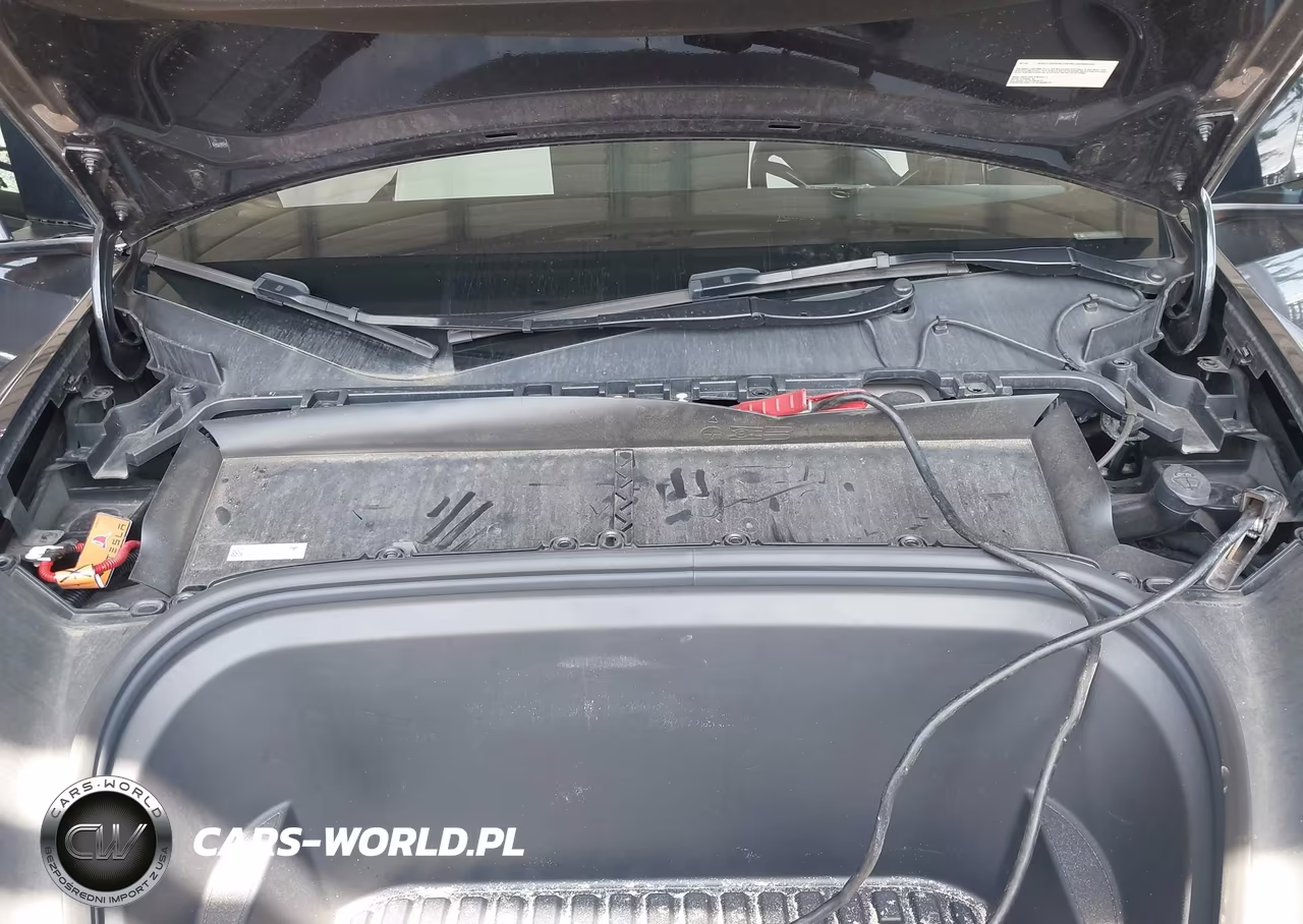 2024 Tesla Model Y Performance Dual Motor All-Wheel Drive VIN:7SAYGDEF9RA267185 - 10