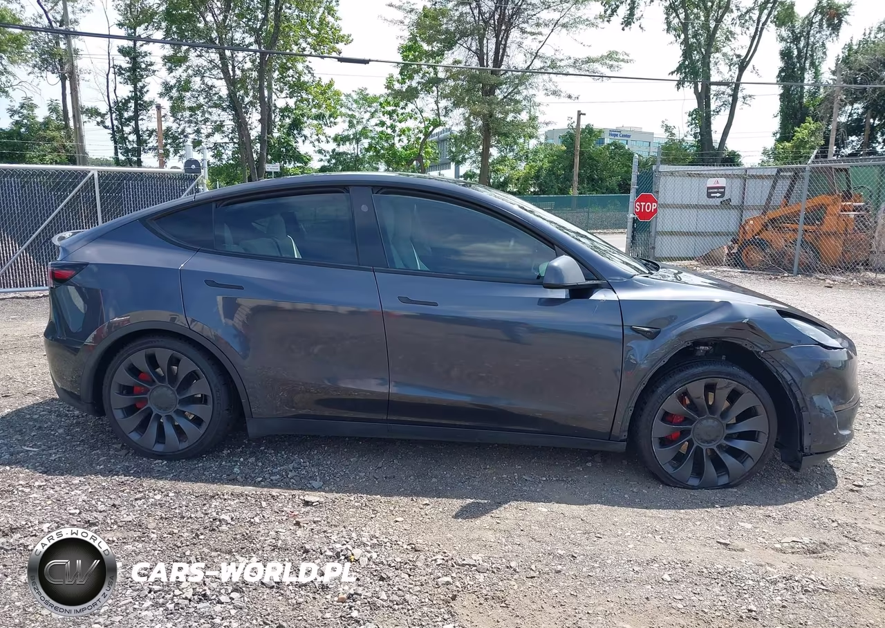 2024 Tesla Model Y Performance Dual Motor All-Wheel Drive VIN:7SAYGDEF9RA267185 - 13
