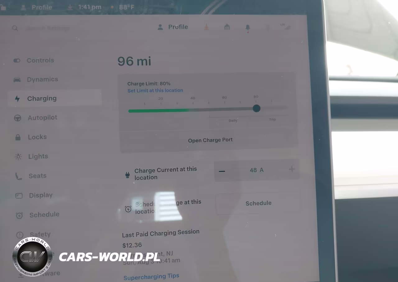 2024 Tesla Model Y Performance Dual Motor All-Wheel Drive VIN:7SAYGDEF9RA267185 - 17