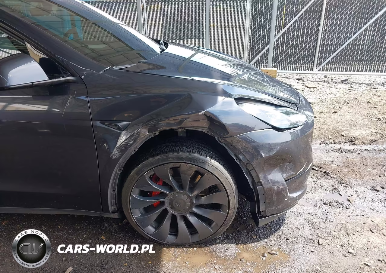 2024 Tesla Model Y Performance Dual Motor All-Wheel Drive VIN:7SAYGDEF9RA267185 - 6
