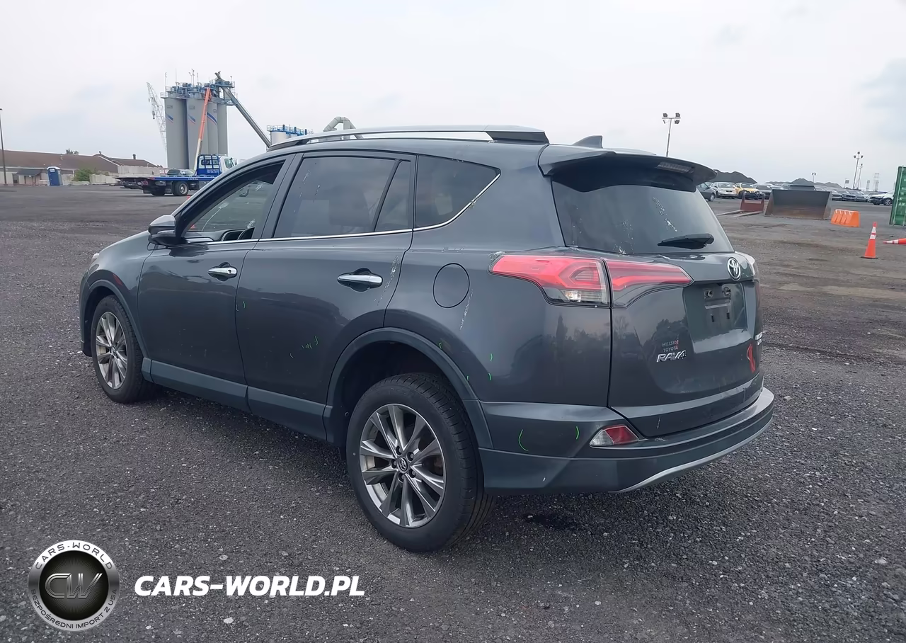 2018 Toyota Rav4 Limited VIN:JTMDFREV5JD236341 - 3