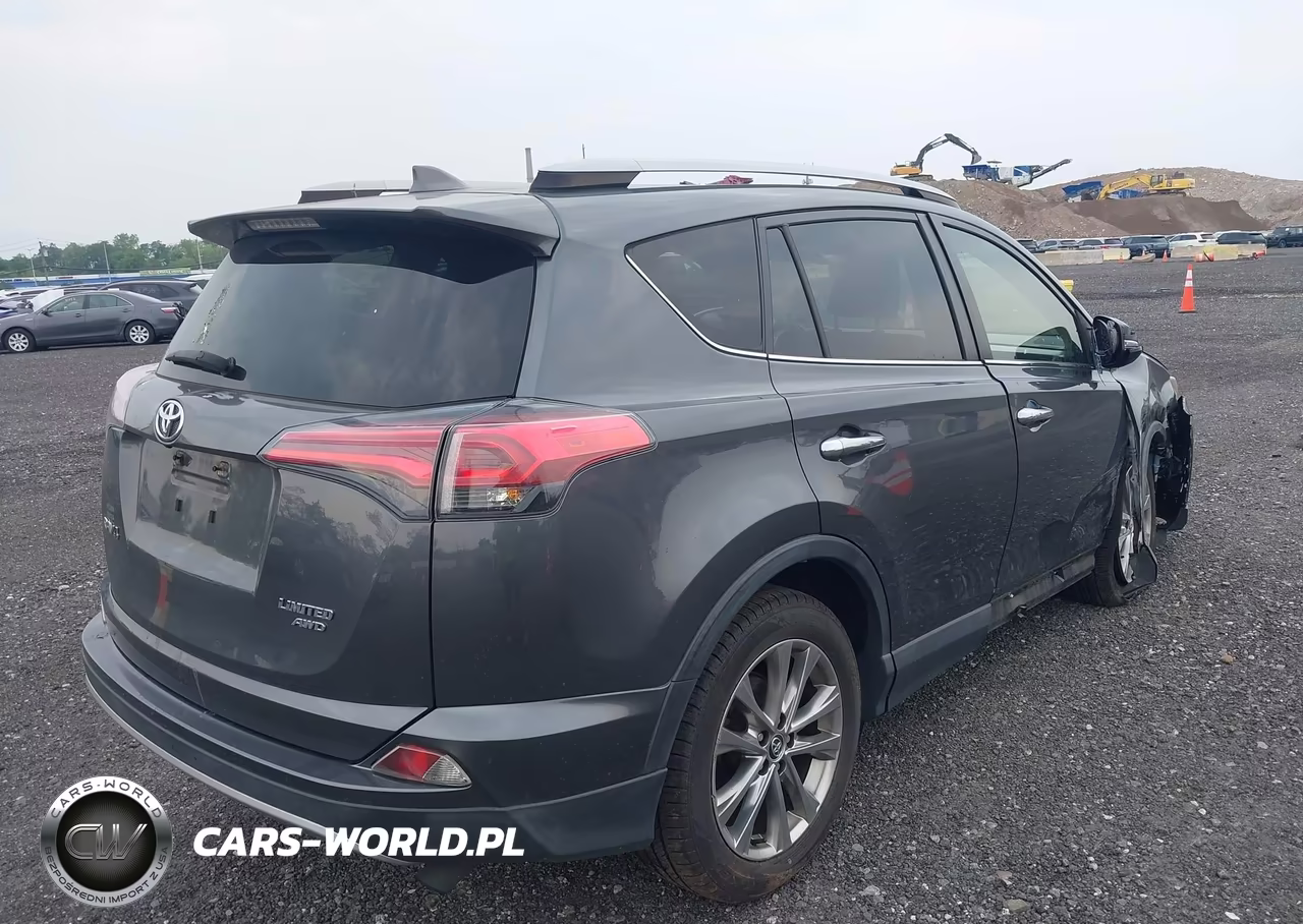 2018 Toyota Rav4 Limited VIN:JTMDFREV5JD236341 - 4