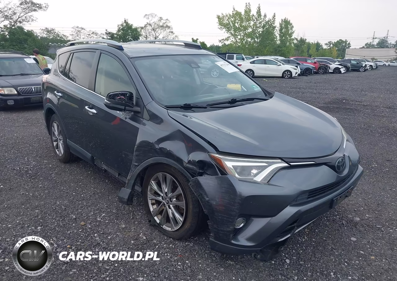 2018 Toyota Rav4 Limited VIN:JTMDFREV5JD236341 - 6