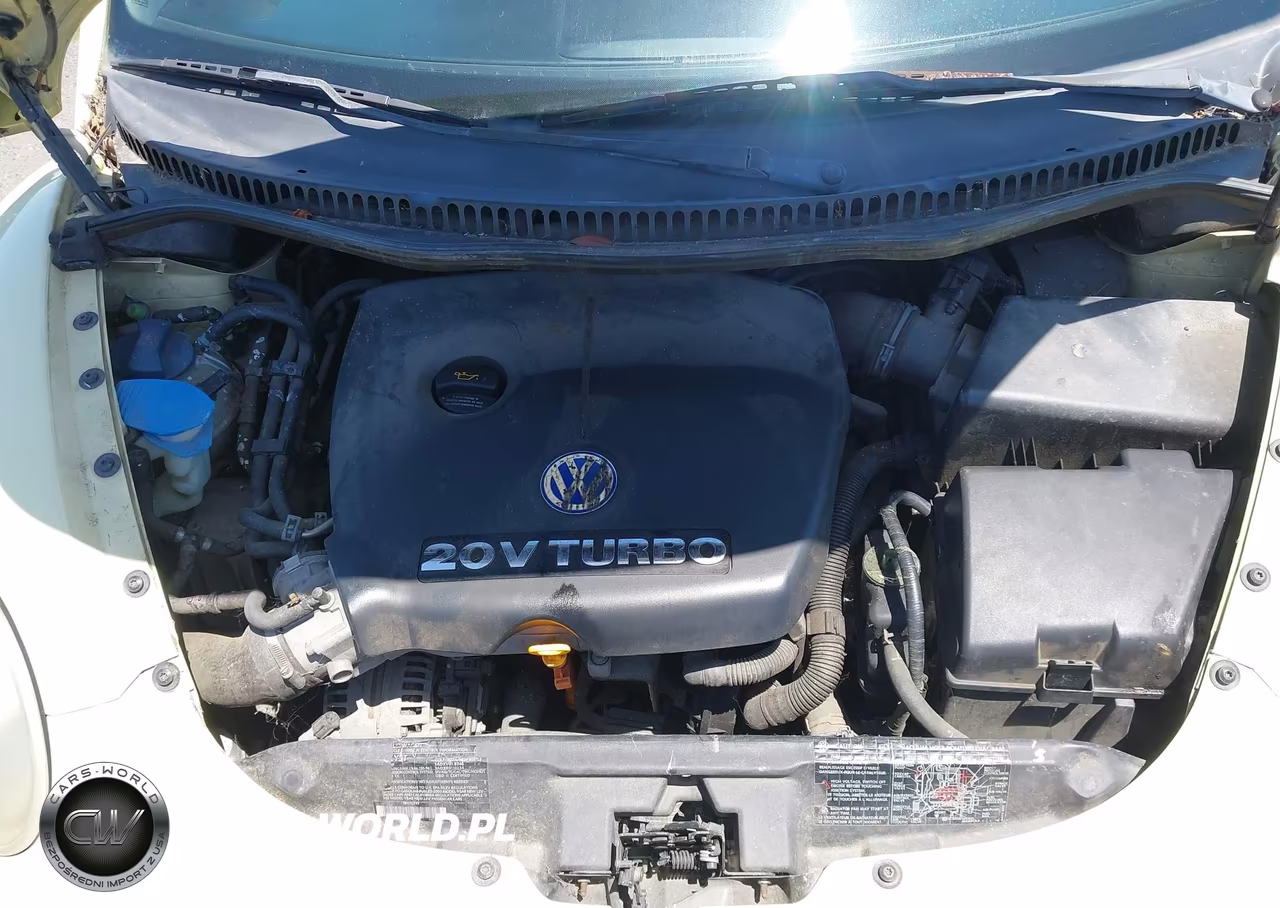 2003 Volkswagen New Beetle Glx VIN:3VWDD21Y03M329950 - 10