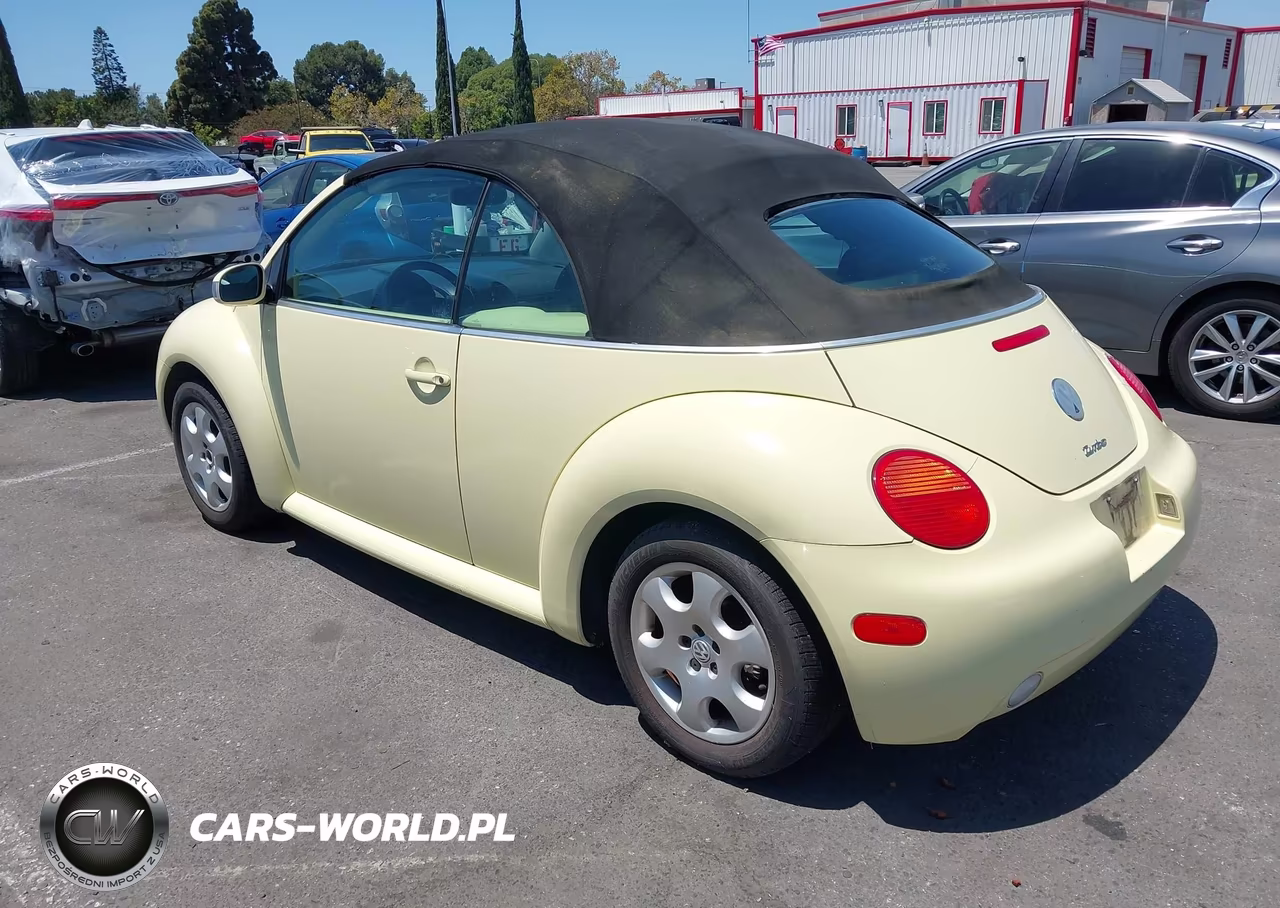 2003 Volkswagen New Beetle Glx VIN:3VWDD21Y03M329950 - 3
