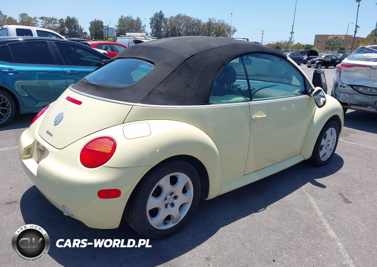 2003 Volkswagen New Beetle Glx VIN:3VWDD21Y03M329950 - 4