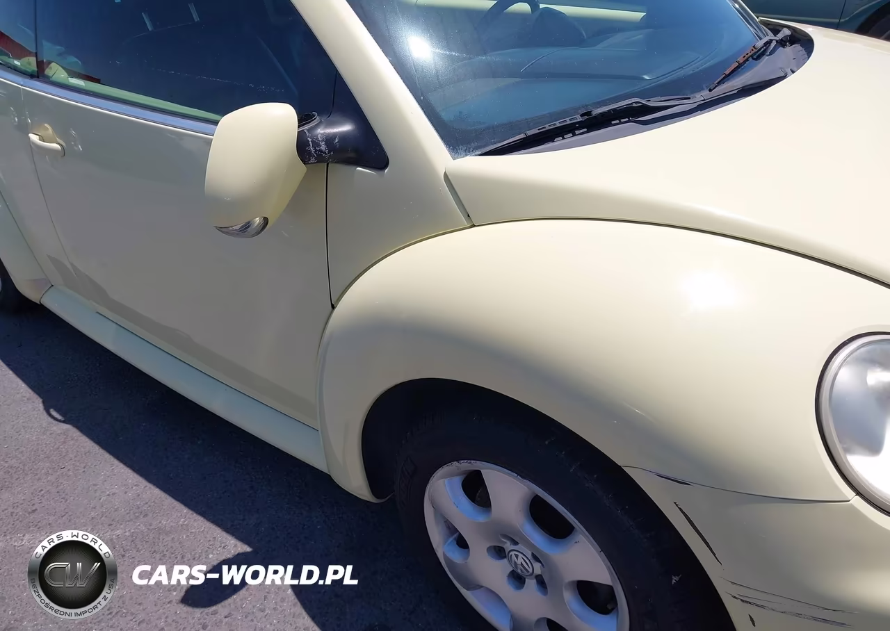 2003 Volkswagen New Beetle Glx VIN:3VWDD21Y03M329950 - 6