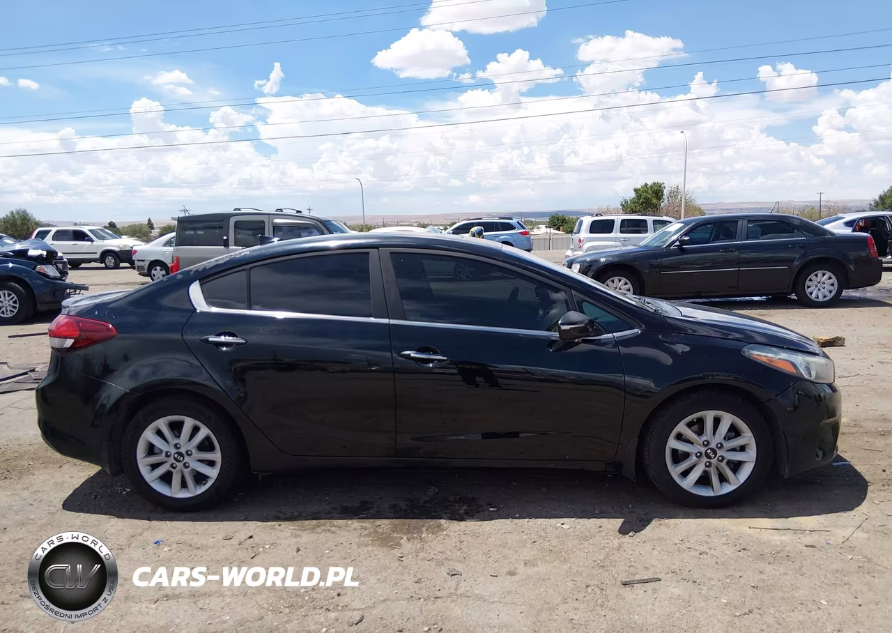 2017 Kia Forte S VIN:3KPFL4A76HE044785 - 13