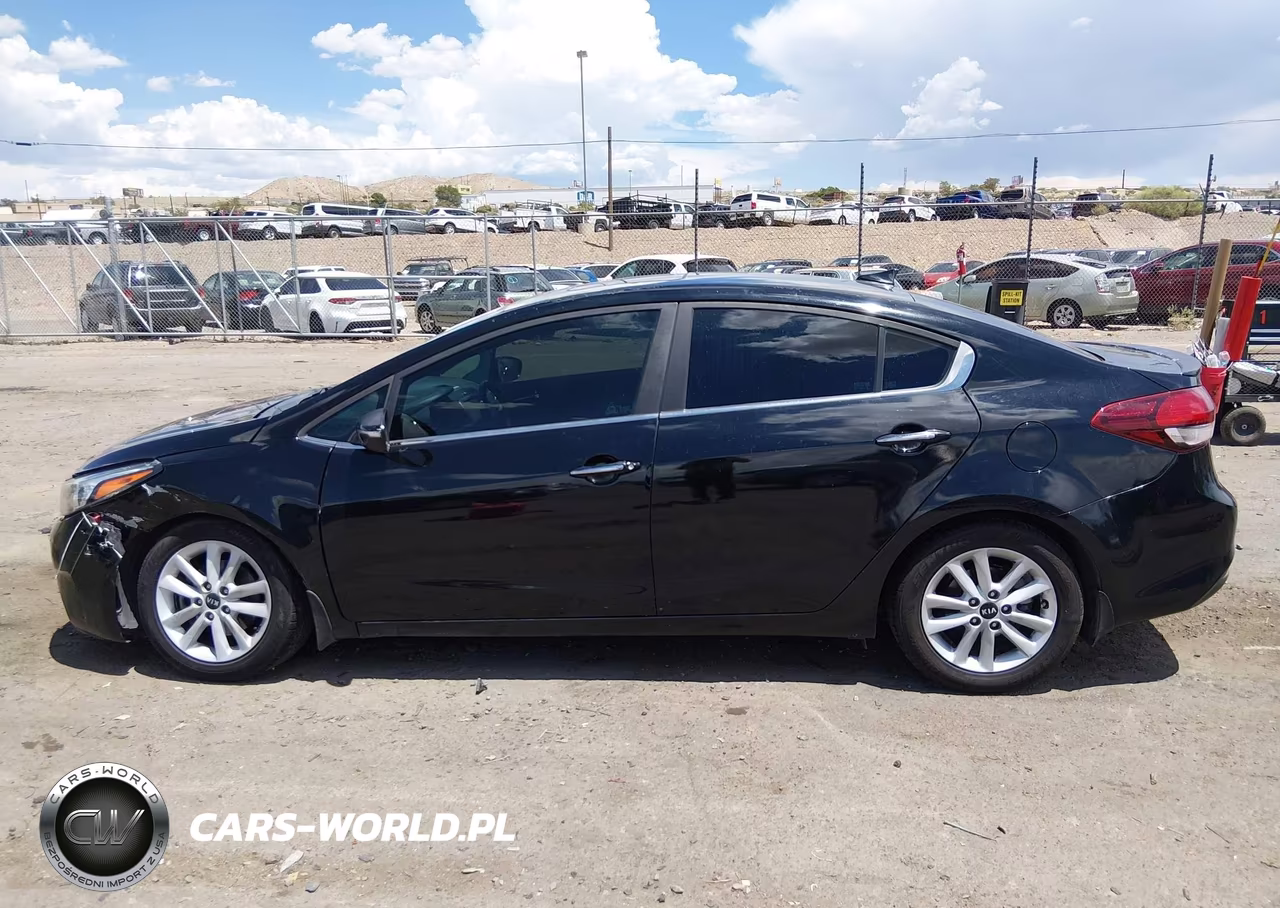 2017 Kia Forte S VIN:3KPFL4A76HE044785 - 14