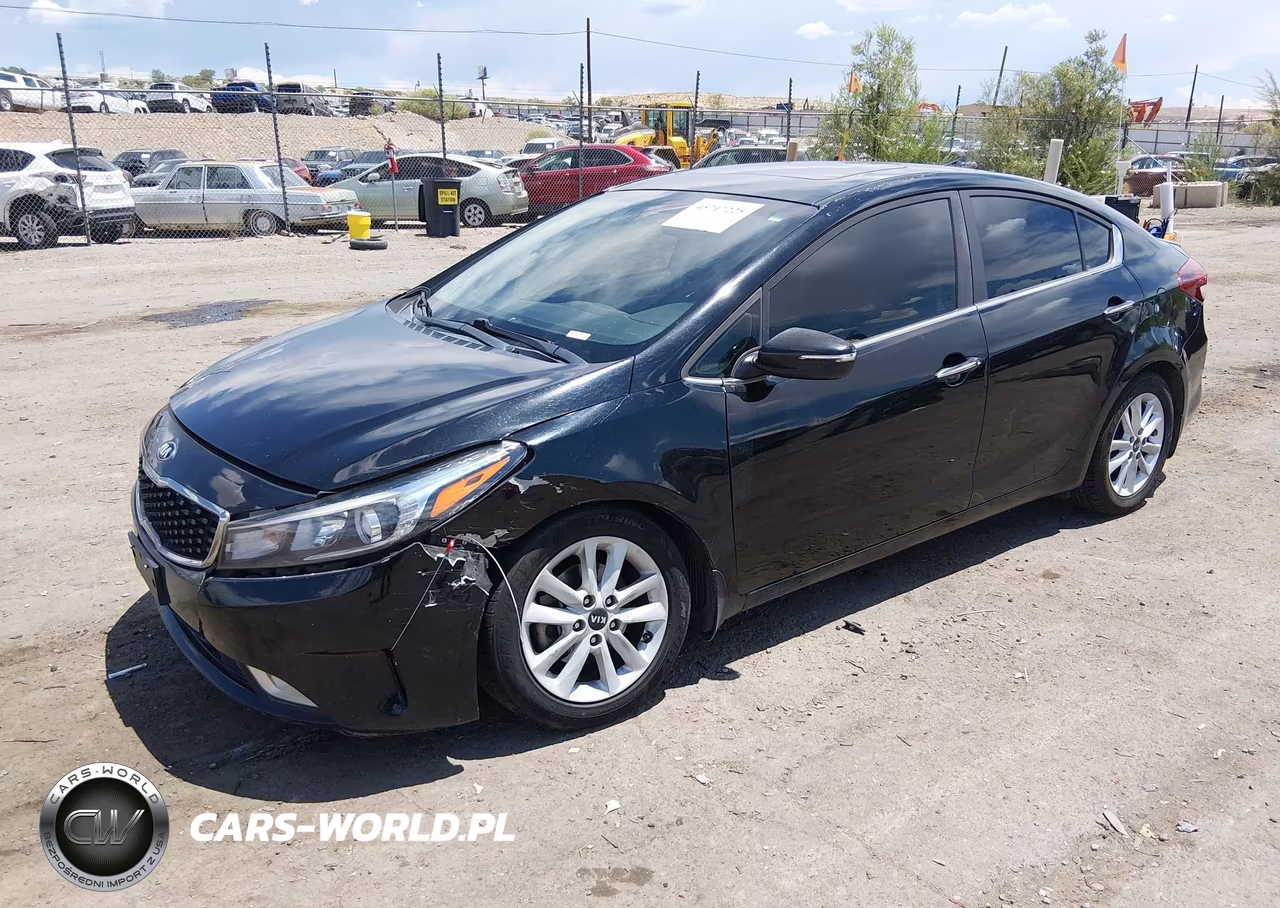 2017 Kia Forte S VIN:3KPFL4A76HE044785 - 2