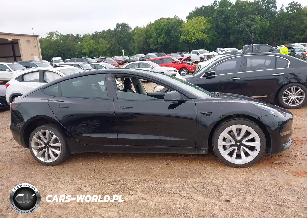 2023 Tesla Model 3 Rear-Wheel Drive VIN:5YJ3E1EA3PF450761 - 12