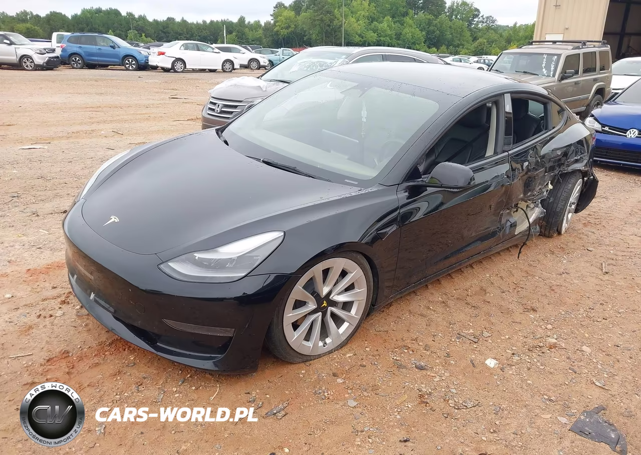 2023 Tesla Model 3 Rear-Wheel Drive VIN:5YJ3E1EA3PF450761 - 2