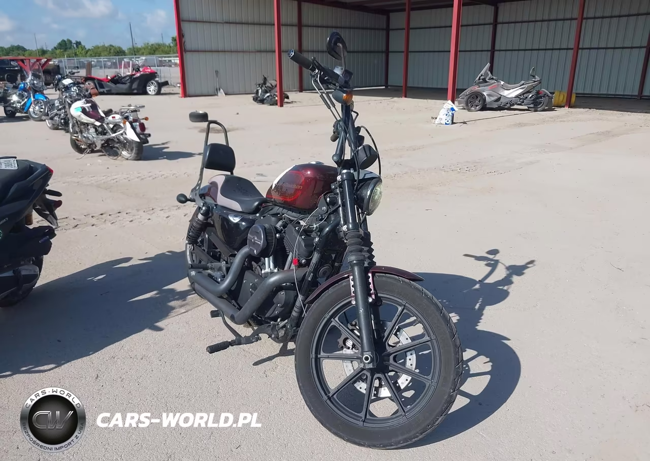 2019 Harley-Davidson Xl1200 Ns