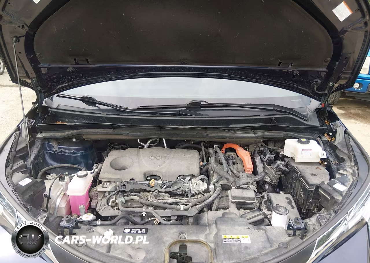 2022 Toyota Sienna Xle VIN:5TDJSKFC3NS044736 - 10