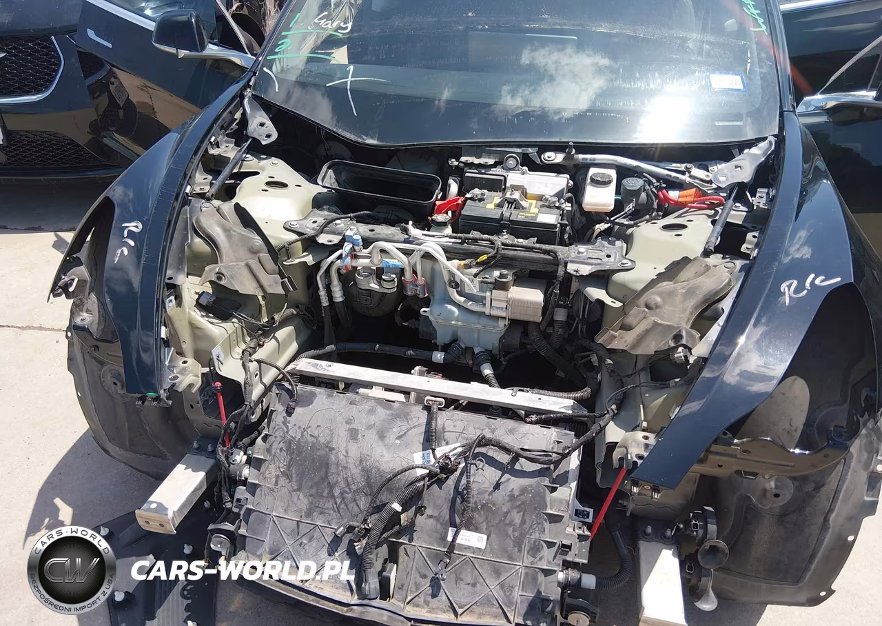 2019 Tesla Model 3 Long Range-Mid Range-Standard Range-Standard Range Plus VIN:5YJ3E1EA2KF305705 - 10