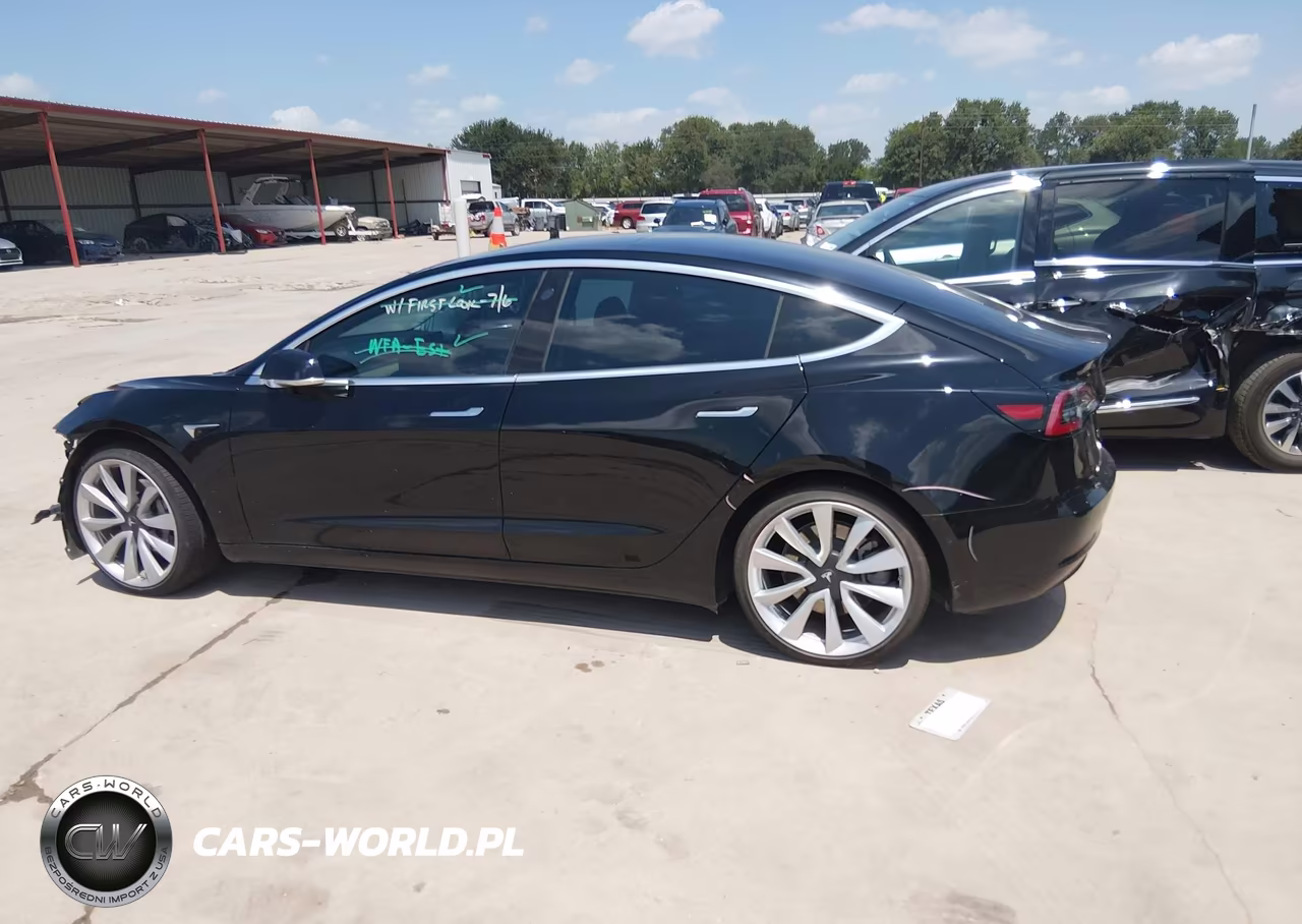 2019 Tesla Model 3 Long Range-Mid Range-Standard Range-Standard Range Plus VIN:5YJ3E1EA2KF305705 - 13