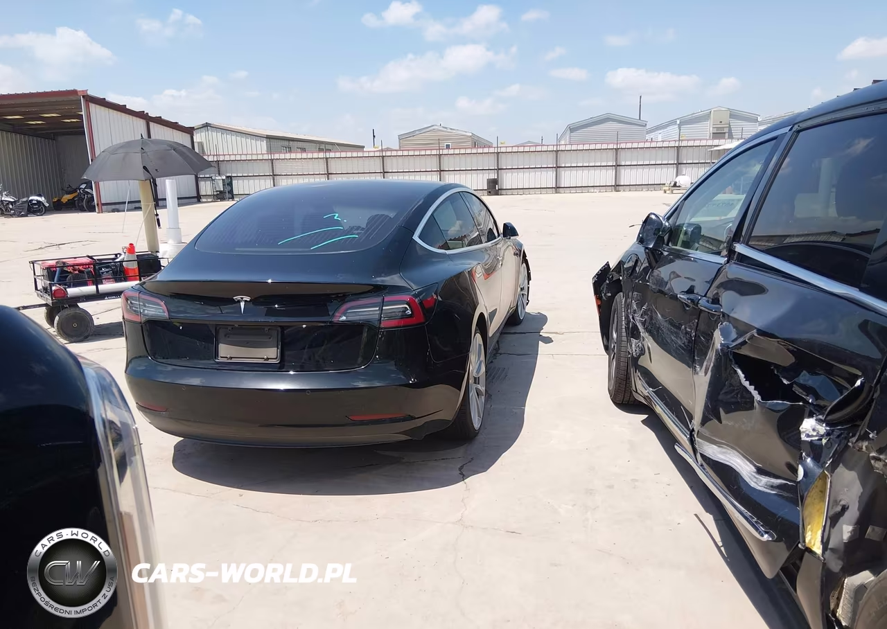 2019 Tesla Model 3 Long Range-Mid Range-Standard Range-Standard Range Plus VIN:5YJ3E1EA2KF305705 - 15