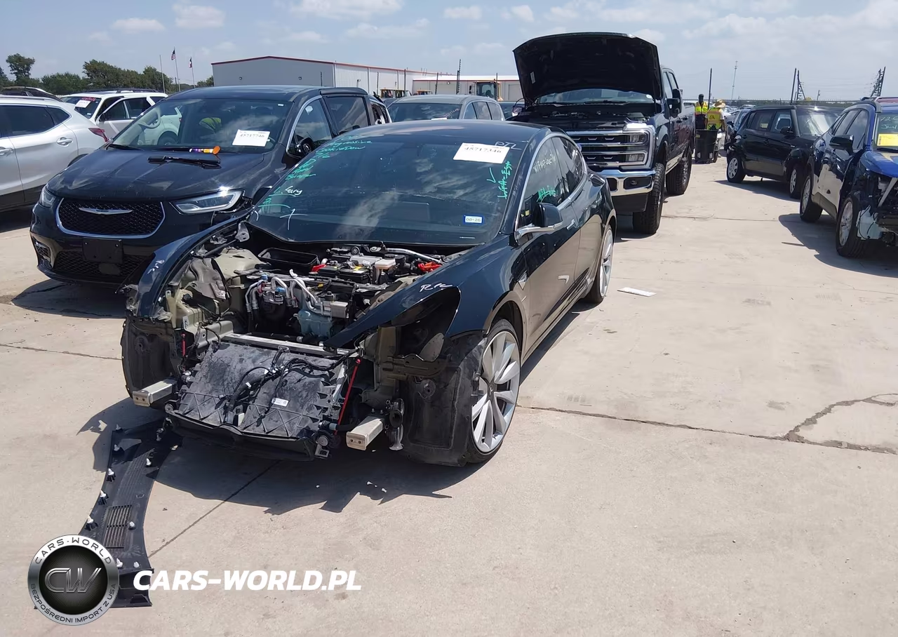 2019 Tesla Model 3 Long Range-Mid Range-Standard Range-Standard Range Plus VIN:5YJ3E1EA2KF305705 - 2
