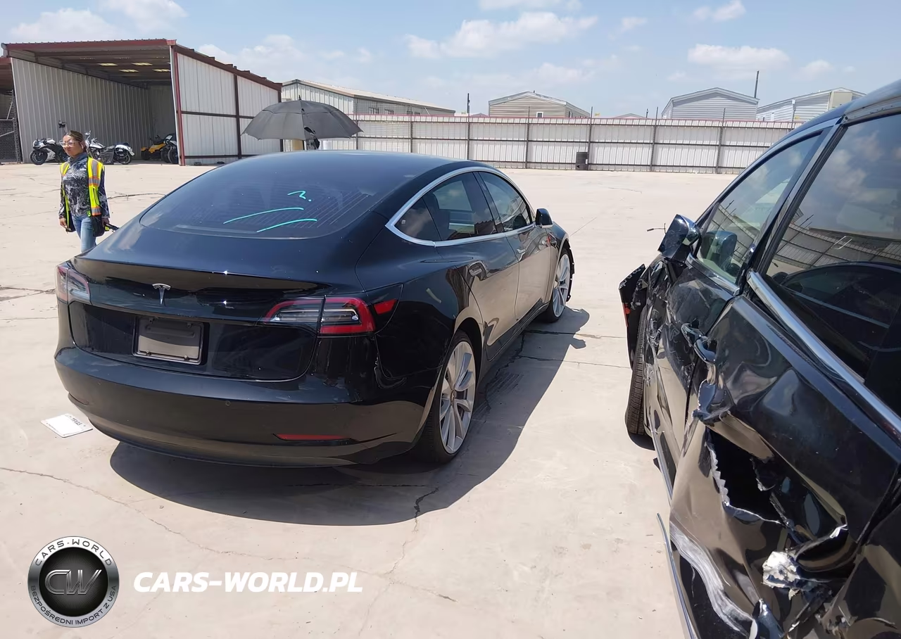 2019 Tesla Model 3 Long Range-Mid Range-Standard Range-Standard Range Plus VIN:5YJ3E1EA2KF305705 - 4