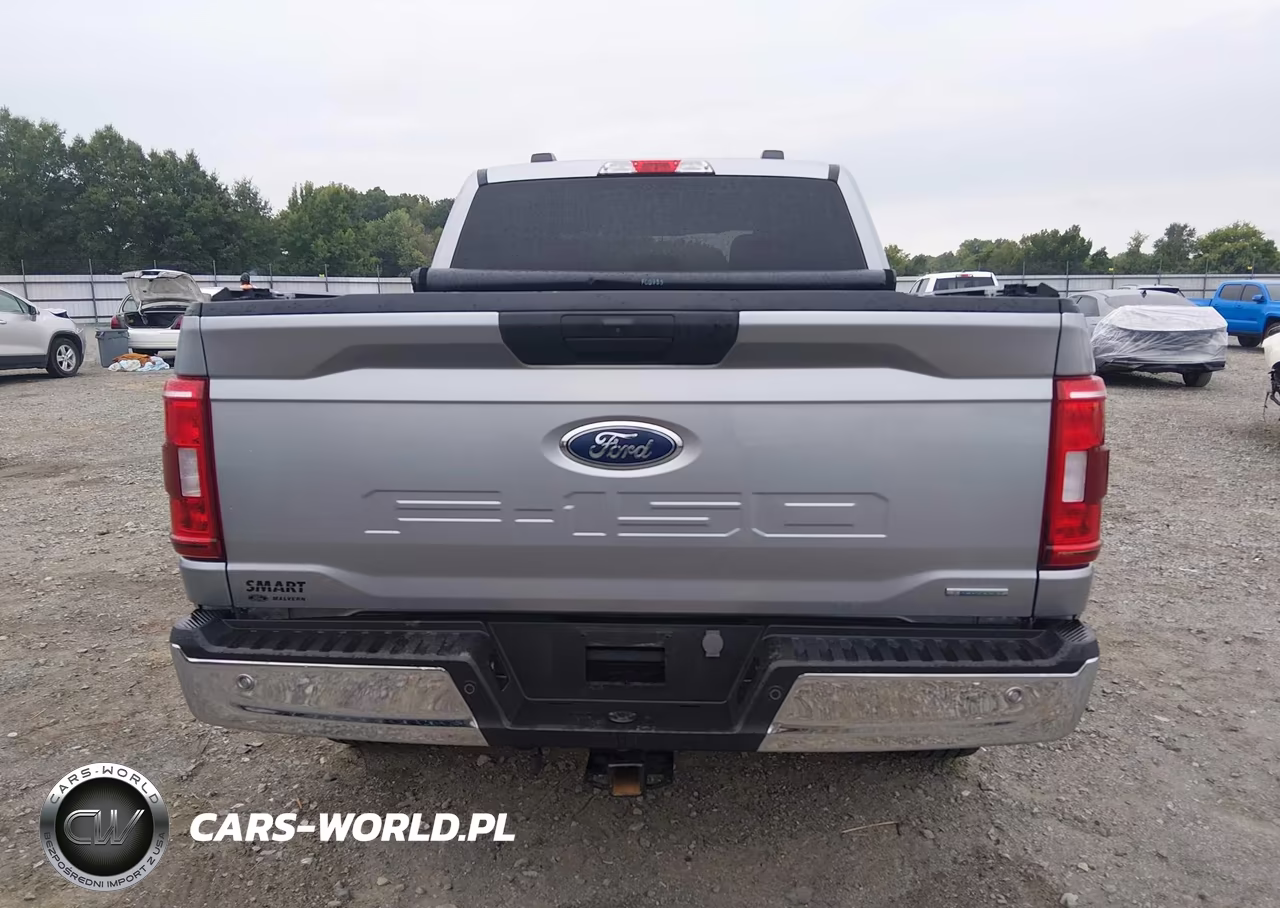 2023 Ford F-150 VIN:1FTFW1E81PKE39266 - 16