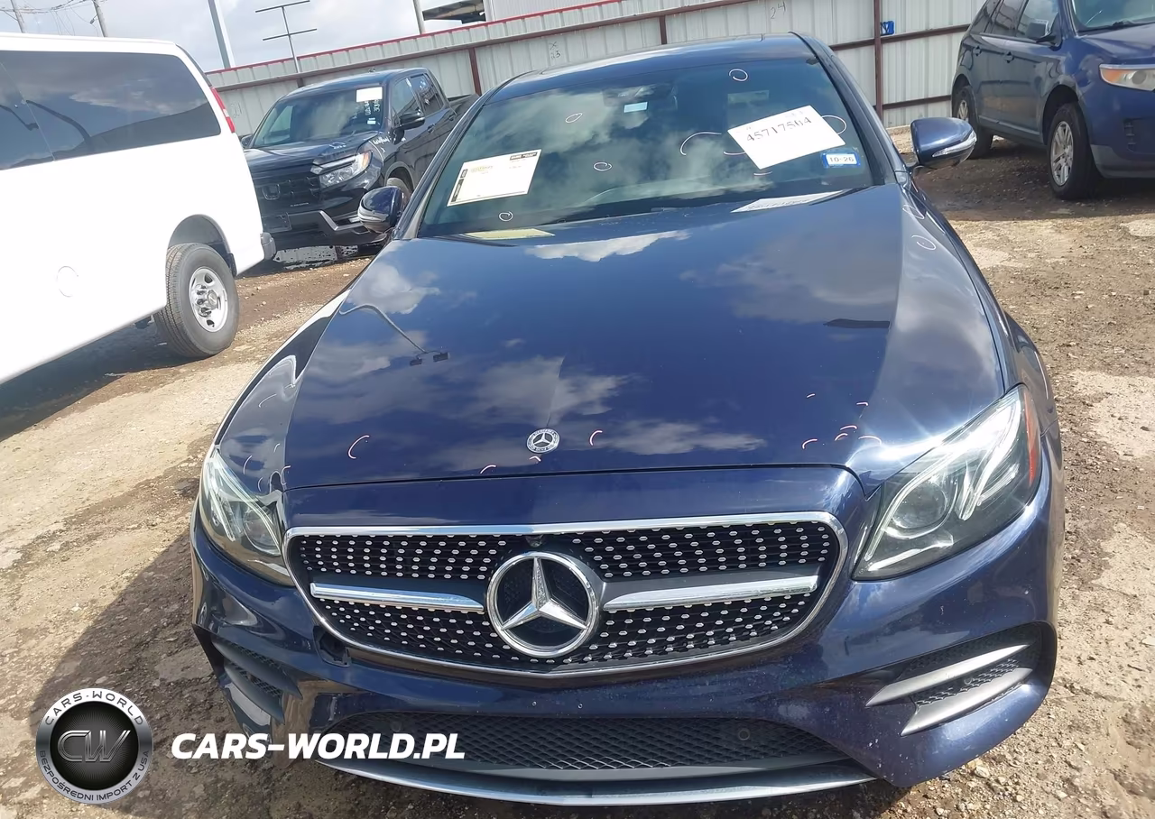 2019 Mercedes-Benz E 300 VIN:WDDZF4JB4KA669100 - 12
