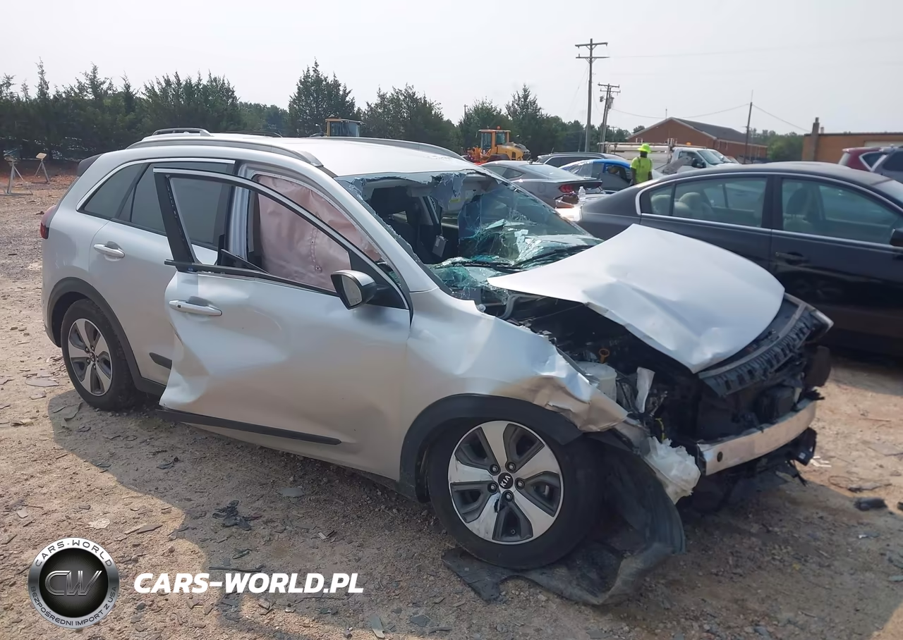 2019 Kia Niro Lx VIN:KNDCB3LC5K5297013 - 1