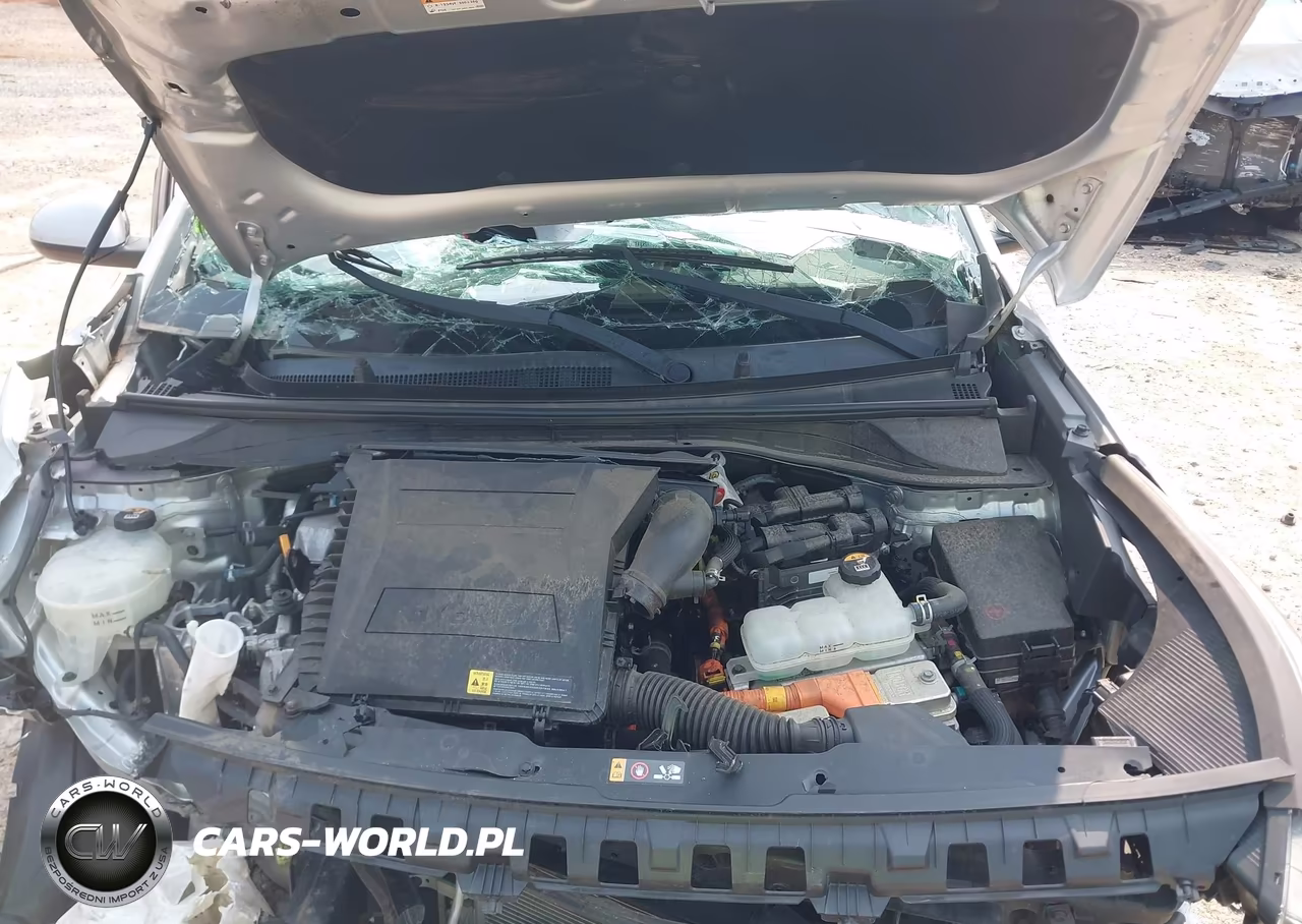2019 Kia Niro Lx VIN:KNDCB3LC5K5297013 - 10