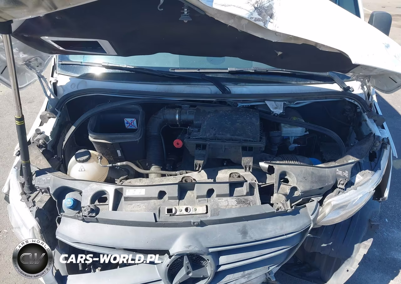 2021 Mercedes-Benz Sprinter 2500 Standard Roof I4 Diesel VIN:W1Y4DBHY7MT047053 - 10