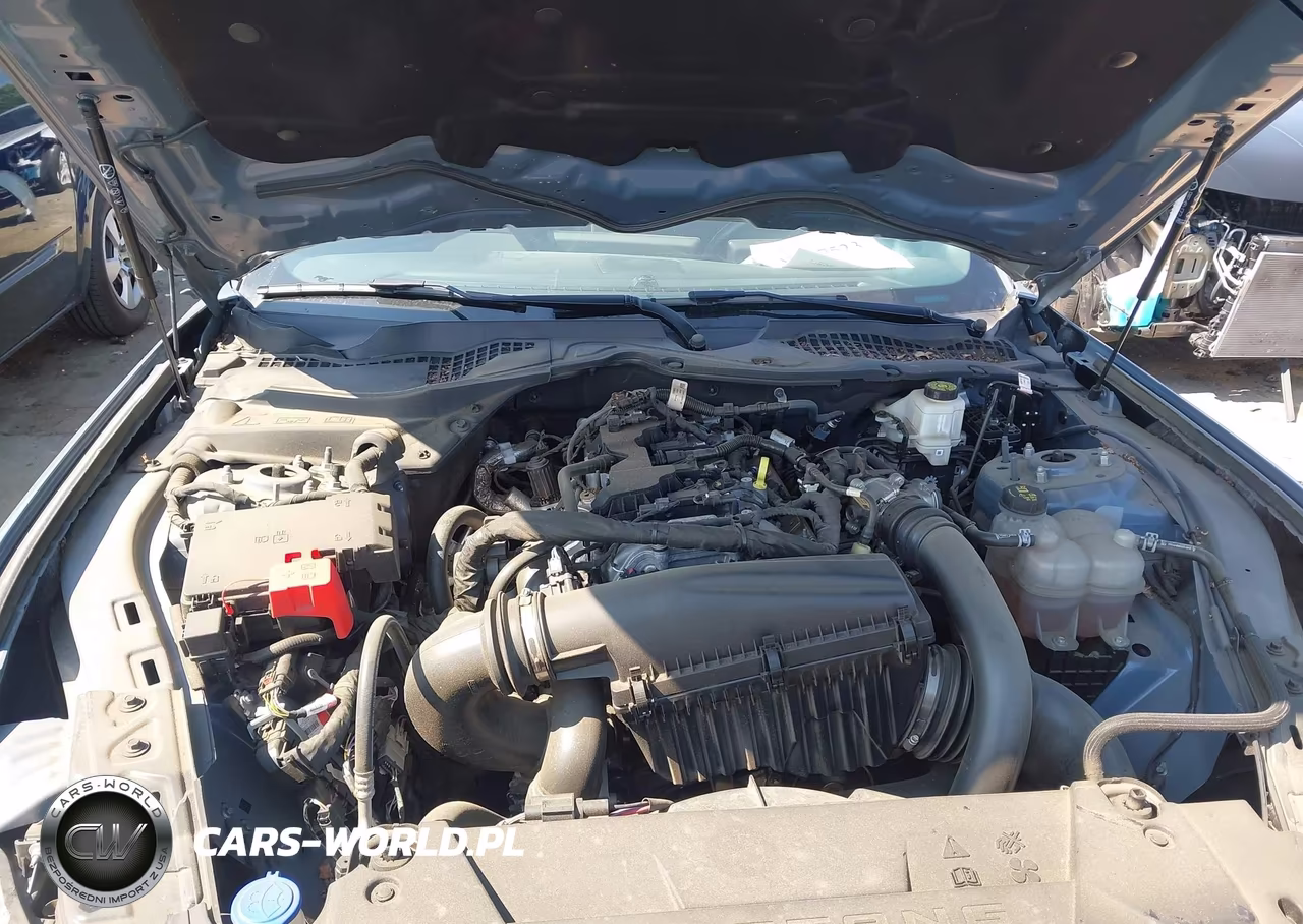 2024 Ford Mustang Ecoboost Fastback VIN:1FA6P8TH9R5110878 - 10