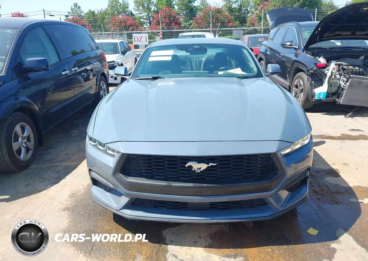 2024 Ford Mustang Ecoboost Fastback VIN:1FA6P8TH9R5110878 - 13