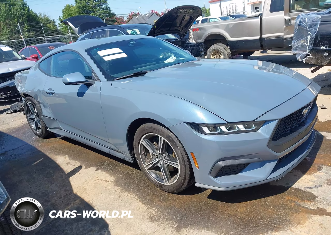 2024 Ford Mustang Ecoboost Fastback VIN:1FA6P8TH9R5110878 - 14