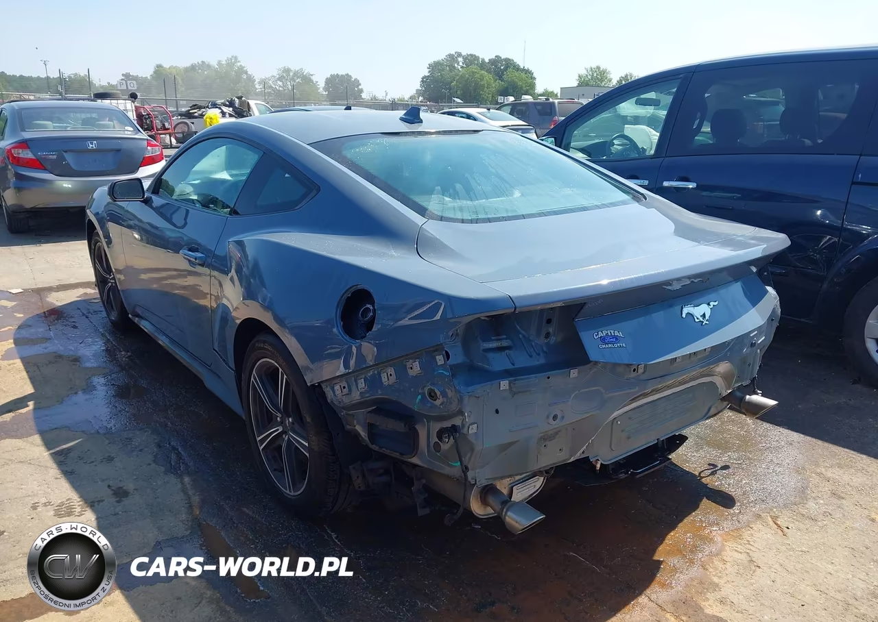2024 Ford Mustang Ecoboost Fastback VIN:1FA6P8TH9R5110878 - 15